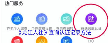 龙江人社 app 怎么查个人信息