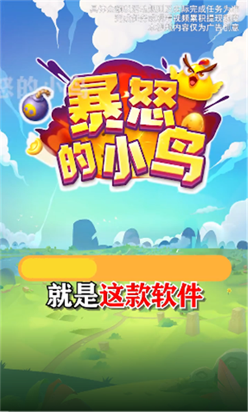 暴怒的小鸟20220