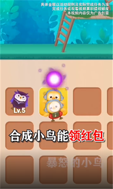 暴怒的小鸟20222