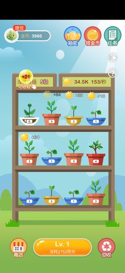 阳光金币屋正版3