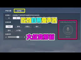 吃鸡游戏中如何开启变声器