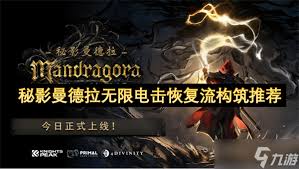 秘影曼德拉如何洗点