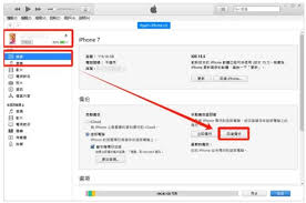 苹果手机为什么会自动清理通话记录?
