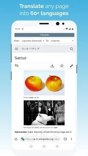 kiwi浏览器安卓版1