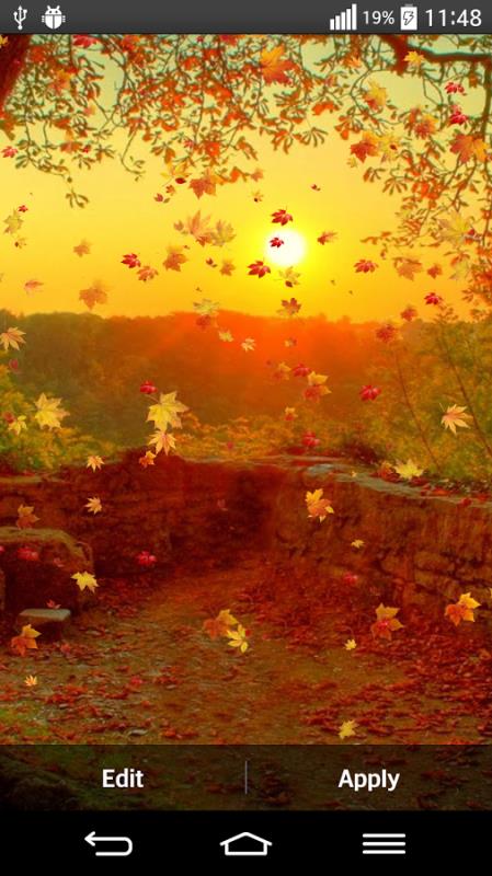 Autumn0