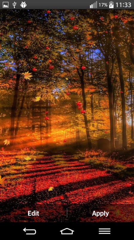 Autumn1