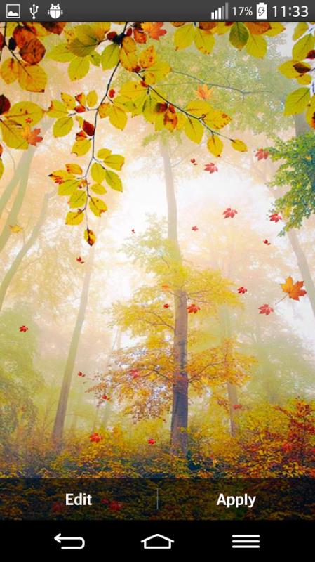 Autumn2