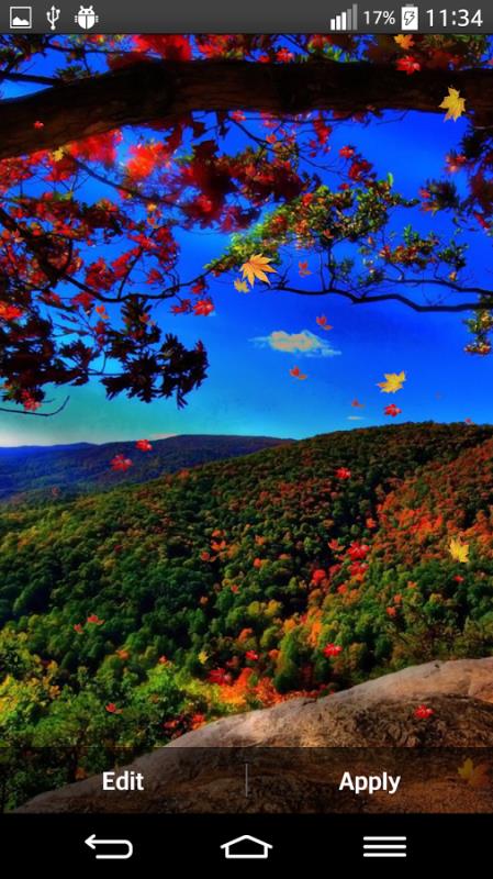 Autumn3