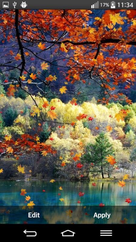 Autumn4