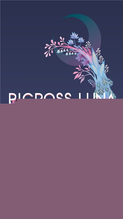 月光逻辑拼图PicrossLUNA0