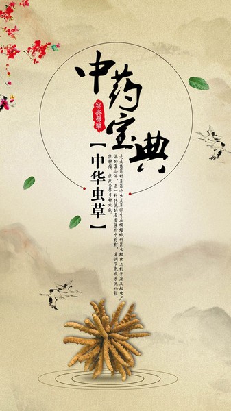 中药宝典3