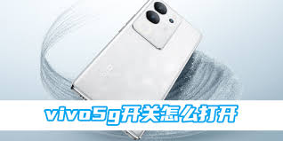 vivox60的5g开关在哪