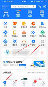 如何在支付宝隐藏借呗