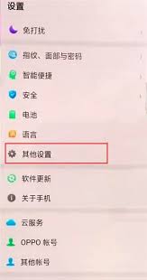 怎么取消realme安全键盘