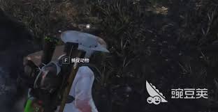 七日世界羊的位置在哪
