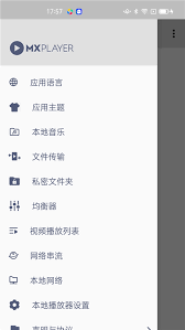 mx播放器使用说明是什么