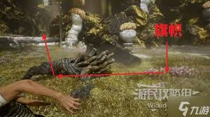 光与影33号远征队吕涅雪结怎么获取