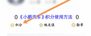 小鹏汽车app积分如何使用