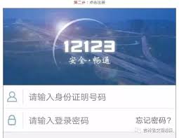 交管12123 平台使用指南