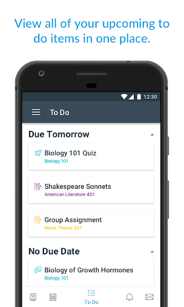 CanvasStudent2