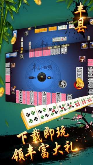 丰县十四张1