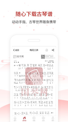 国琴网2