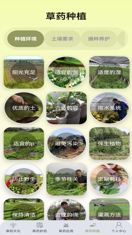 百草优识1