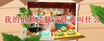 我的世界皮肤文件夹叫啥