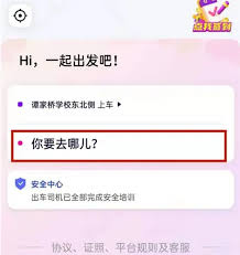 花小猪打车如何进行预约叫车