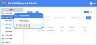 湖南税务app能否开电子发票