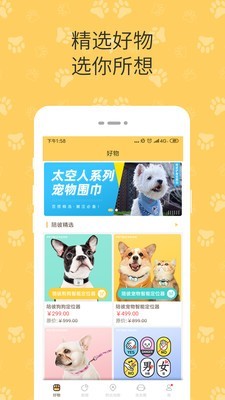 陪彼宠物安卓版4
