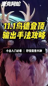 魔兽世界11.1鸟德大米怎么天赋加点
