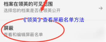 领英如何查看黑名单