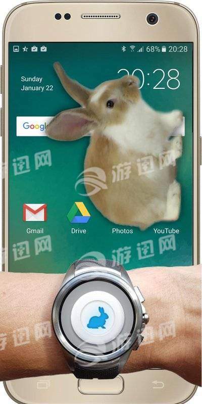 手机屏幕养兔子2