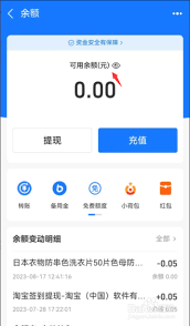 支付宝怎么隐藏余额