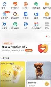 支付宝哪里能领养宠物