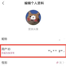 快手怎么自定义快手号