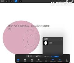procreate如何选区