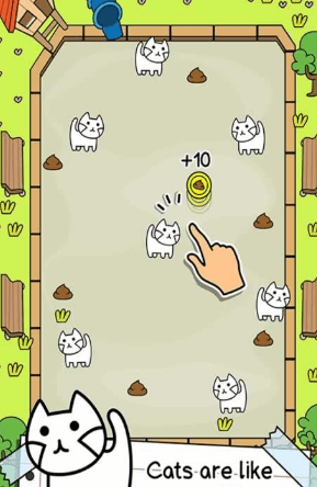 会进化的猫1