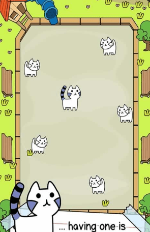 会进化的猫2
