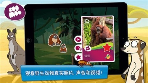 动物好伙伴最新版2