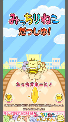 团团喵冲刺