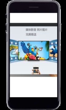 电视投屏神器1