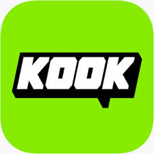 kook头像右下角绿色标识是什么