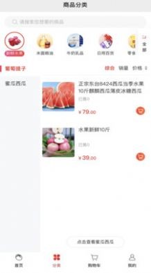随团1