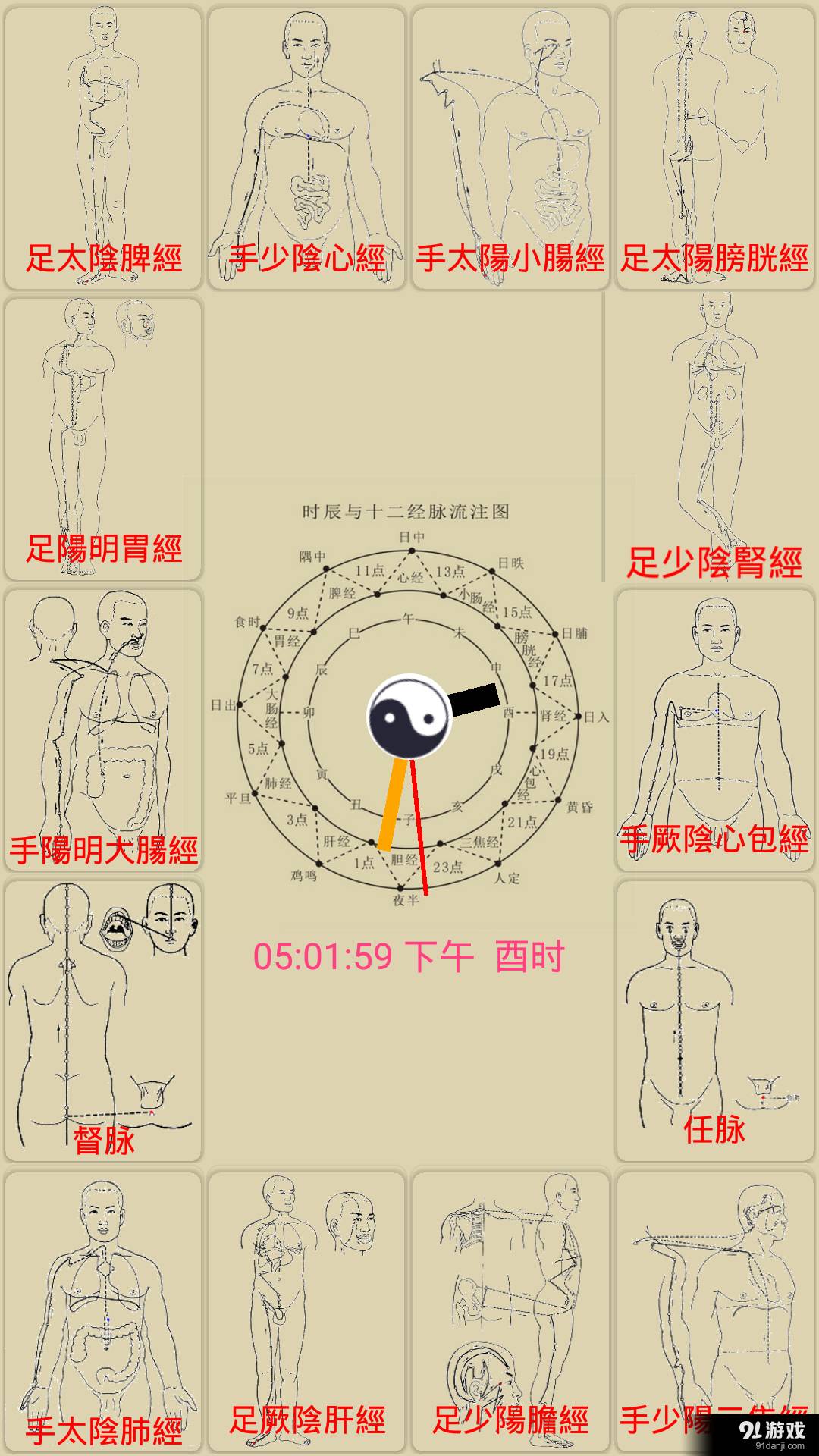 中医经络穴位流注 