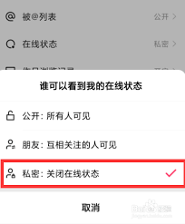 快手怎么隐藏在线状态