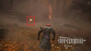 光与影33号远征队吕涅树液结怎么获取