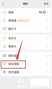 进微信钱包怎么设密码