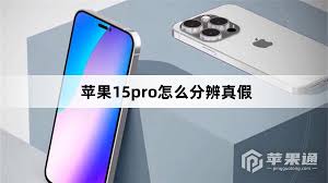 怎么分辨真假苹果15pro
